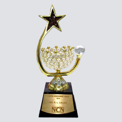 NCN Lifetime Achievement Award 2014