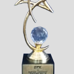 IPTV Partner Leadership Award- 2018